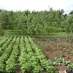 Cokori Gasthuis Banja Luka