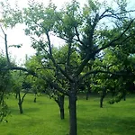 Cokori Gasthuis Banja Luka