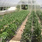 Cokori Gasthuis Banja Luka