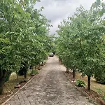 Cokori 3*