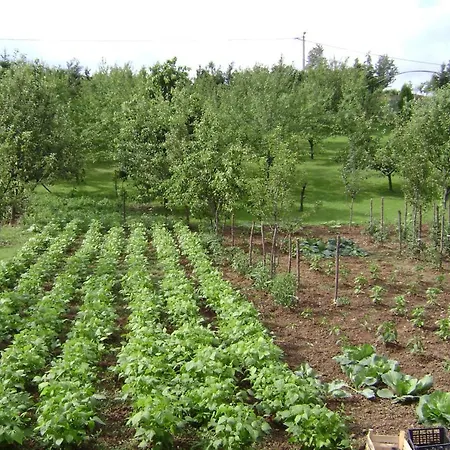 Cokori Penzion Banja Luka