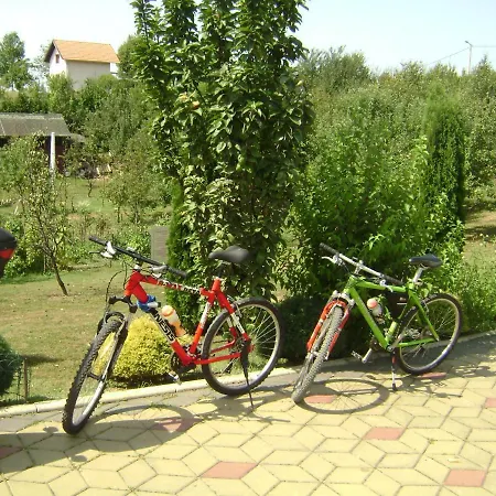 Cokori Guest house *