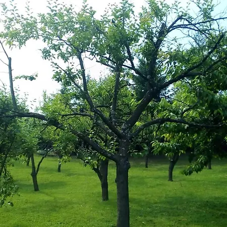 Cokori Penzion Banja Luka