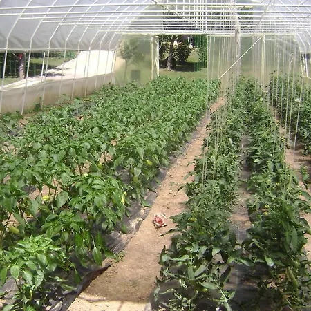 Cokori Penzion Banja Luka